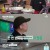 서민갑부 폐업 탈출 대작전.E03.230805.720p-NEXT
