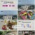 다큐초이스.E20.230812.1080p.H264-F1RST