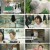 슈퍼푸드의 힘.E86.230813.1080p.H264-F1RST