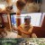 동물극장 단짝.E74.230819.720p-NEXT