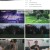 궁금한 이야기 Y.E652.230901.1080p.H264-F1RST