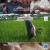 한국인의 밥상.E624.230907.720p-NEXT