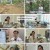 내 몸을 살리는 발견 유레카.E130.230910.1080p.H264-F1RST