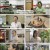 다큐 플러스.E276.230910.1080p.H264-F1RST