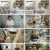 알약방.E168.230916.1080p.H264-F1RST