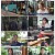 SBS 뉴스토리.E442.230916.720p-NEXT