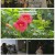 인간극장.E5682.230929.1080p.H264-F1RST