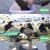 판다가 좋아.E08.231001.720p-NEXT