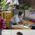 다시 피는 인생.E18.231002.720p-NEXT