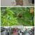 나는 자연인이다.E574.231004.1080p.H264-F1RST