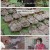 팔도밥상.E325.231007.1080p.H264-F1RST