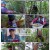 [극한 직업] 석청과 버섯 230909.1080P