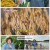6시 내고향.E7893.231018.720p.H264-F1RST