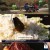 팔도밥상.E343.231021.720p-NEXT