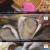 한국인의 밥상.E630.231026.720p-NEXT