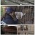 추적 60분.E1341.231027.1080p.H264-F1RST