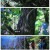 영상앨범 산.E907.231029.1080p.H264-F1RST