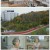 글로벌 몸신.E02.231210.1080p.H264-F1RST