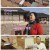 6시 내고향.E7933.231213.720p.H264-F1RST