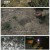 다큐 인사이트.E176.231214.1080p.H264-F1RST