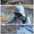 영상앨범 산.E914.231217.1080p.H264-F1RST