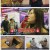 이웃집 찰스.E416.231219.1080p.H264-F1RST
