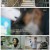 추적 60분.E1348.231222.1080p.H264-F1RST