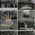 히스토리한컷.E01.231230.1080p.H264-F1RST