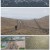 신년특집 기후 위기 다큐멘터리 물이 밀려온다.240101.1080p.H264-F1RST