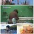 6시 내고향.E7956.240115.720p.H264-F1RST