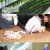 천기누설.E605.240126.720p-NEXT