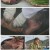 팔도밥상.E343.240127.1080p.H264-F1RST