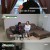 찾아라 특종 건강백서.E48.240128.720p-NEXT