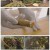 팔도밥상.E342.240203.1080p.H264-F1RST