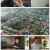 다큐 인사이트.E172.240208.1080p.H264-F1RST