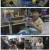 순간포착 세상에 이런일이.E1264.2024-02-10.1080p.H264-F1RST
