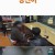 궁금한 이야기 Y.E672.240216.720p-NEXT
