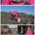 팔도밥상.E343.2024-02-17.1080p.H264-F1RST