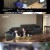 그것이 알고 싶다.E1385.240217.720p-NEXT