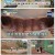 찾아라! 특종 건강백서.E52.240225.1080p.H264-F1RST