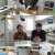 생활의 달인.E924.240226.720p-NEXT