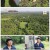 반려동물극장.E07.240229.1080p.H264-F1RST