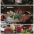 식객 허영만의 백반기행.E237.240303.1080p.H264-F1RST