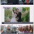 6시 내고향.E7991.240304.720p.H264-F1RST