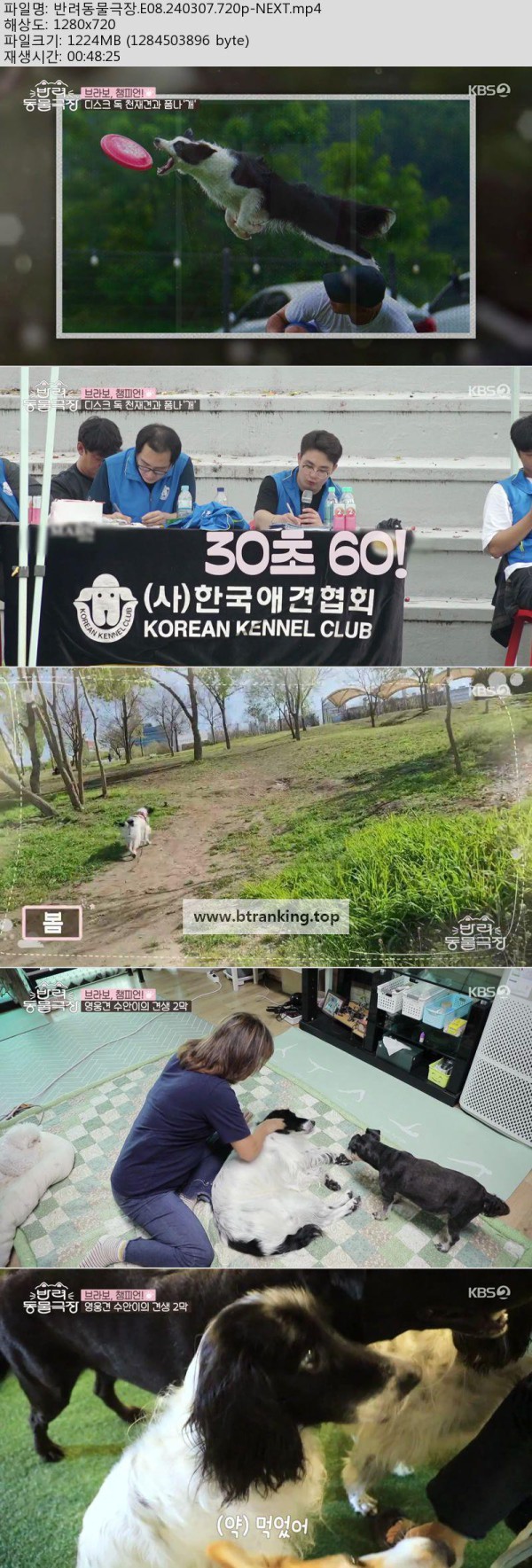 17504245133917.jpg