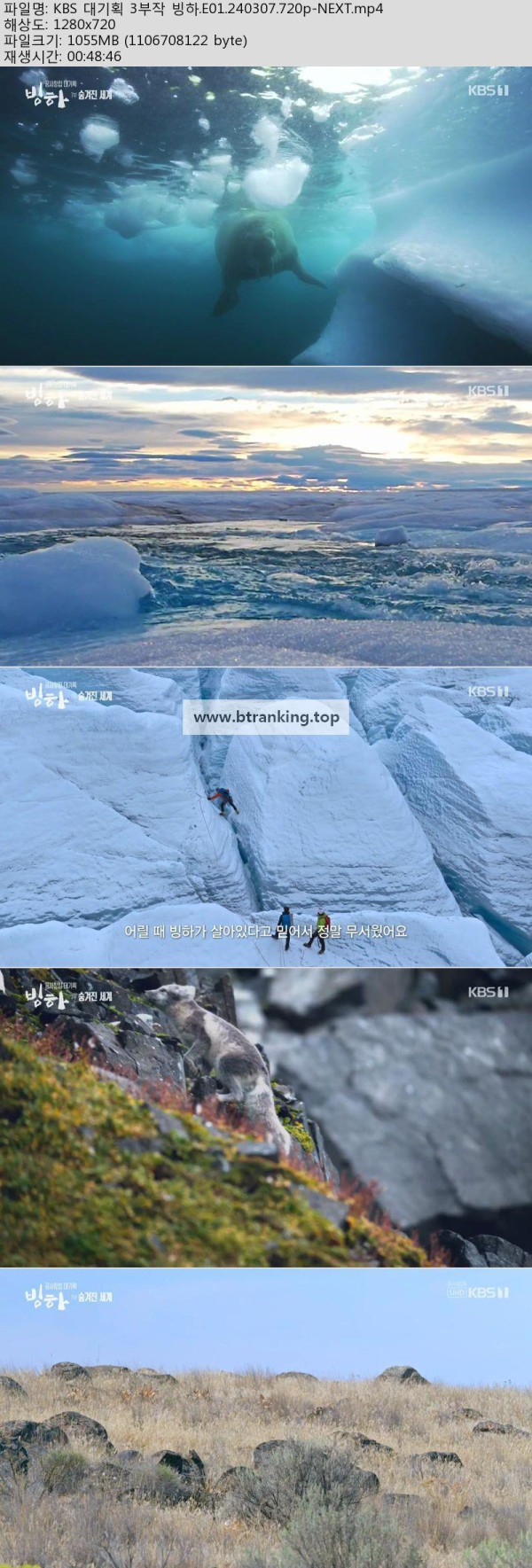 17504245374465.jpg