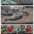 한국인의 밥상.E647.240314.1080p.H264-F1RST