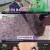 6시 내고향.E8007.240314.720p-NEXT