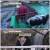 세상에 나쁜 개는 없다.240329.생닭 편식 초대형견, 수라와 하트.450P