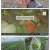 2TV 생생정보.E2019.240402.720p.H264-F1RST